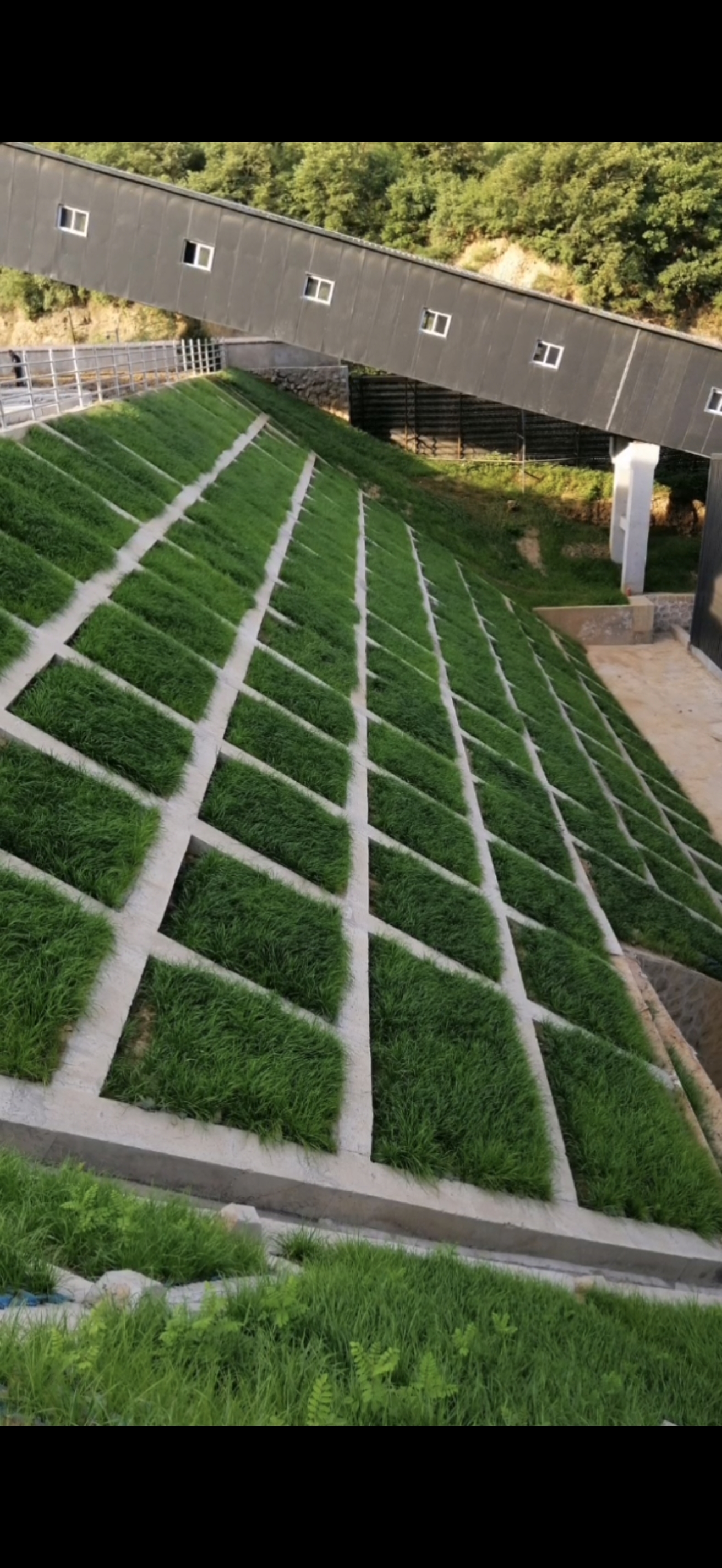 边坡堆码生态袋 绿化草籽植草袋 武汉公路荒山复绿袋