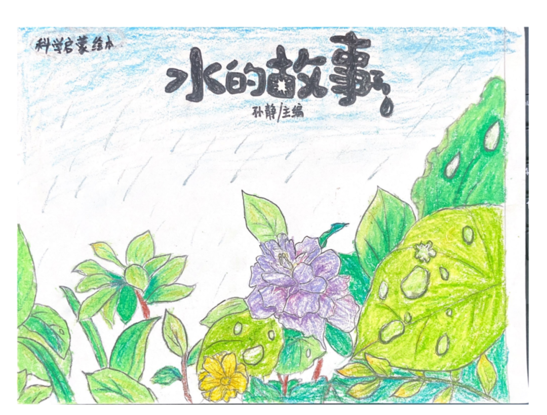 绘本故事一幅幅别具匠心的封面设计,不仅展现了同学们鲜明的个性特点