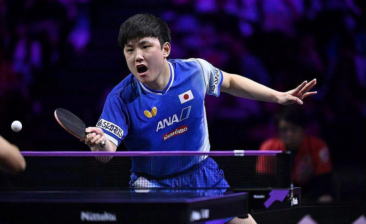 张本智和日本乒乓球选手激烈比赛瞬间