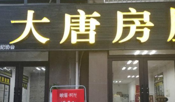 大唐房屋logo图片