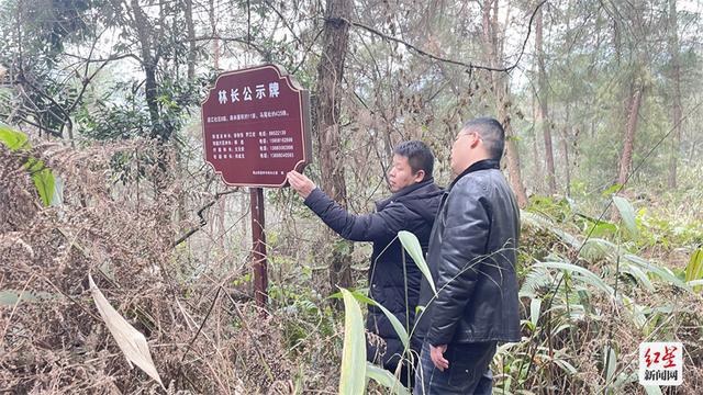 蒲江县鹤山街道图片