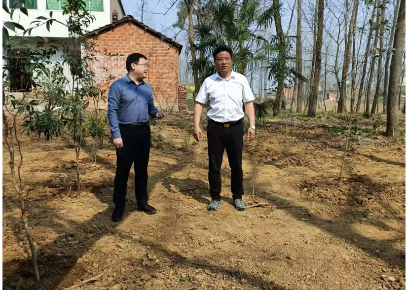 商城县观庙镇:线上线下齐发力 讲好整治"好故事"