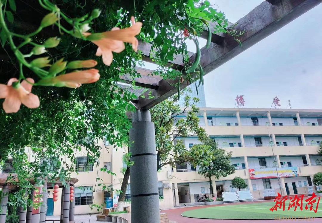 最美家乡推荐官之"最美校园"