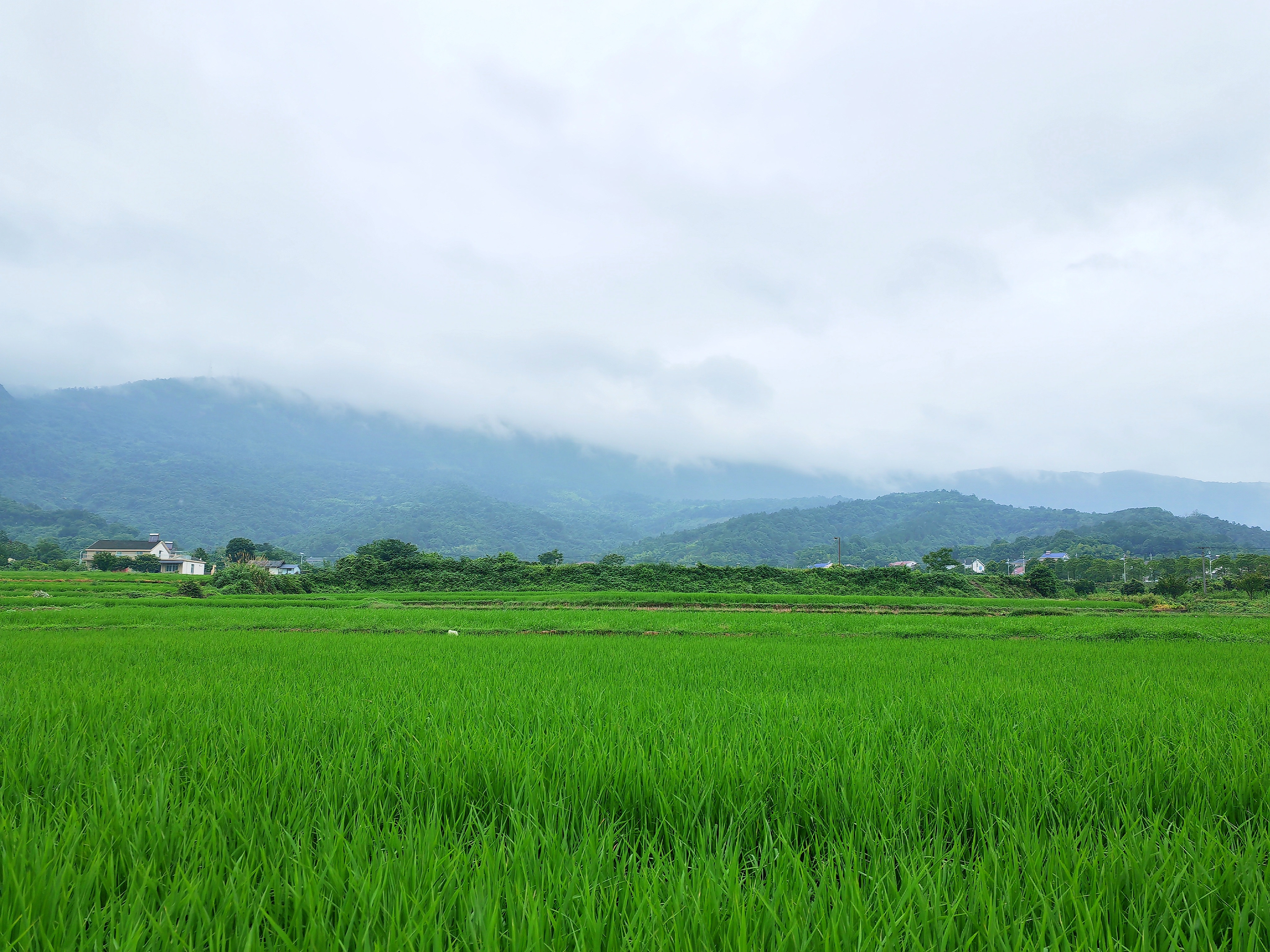 烟雨梁山村