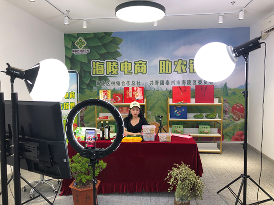 农产品"触网"引热销,泰州海陵以直播带货助农增收