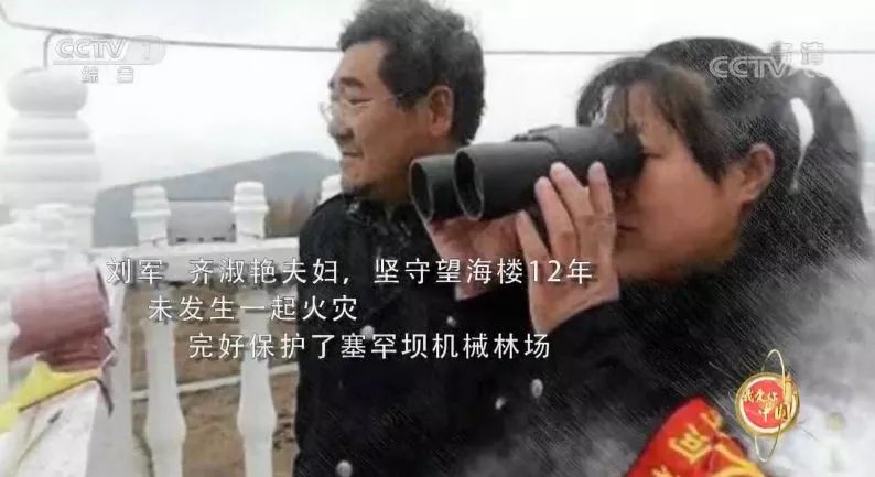 登上央视《新闻联播》!塞罕坝,那片林海里的故事