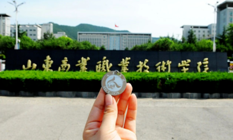 权威发布|山东商业职业技术学院2023年普通高等教育招生章程