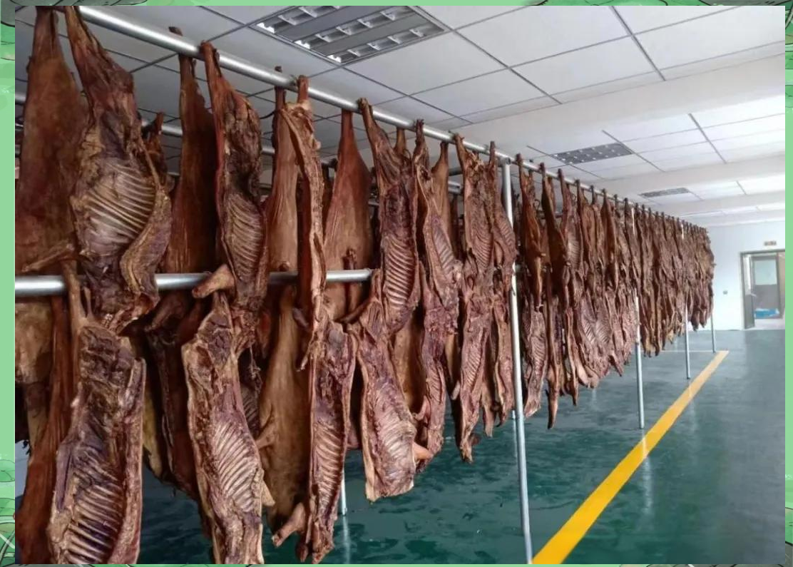 探秘甘南迭部:多样"土特产"的美味之旅