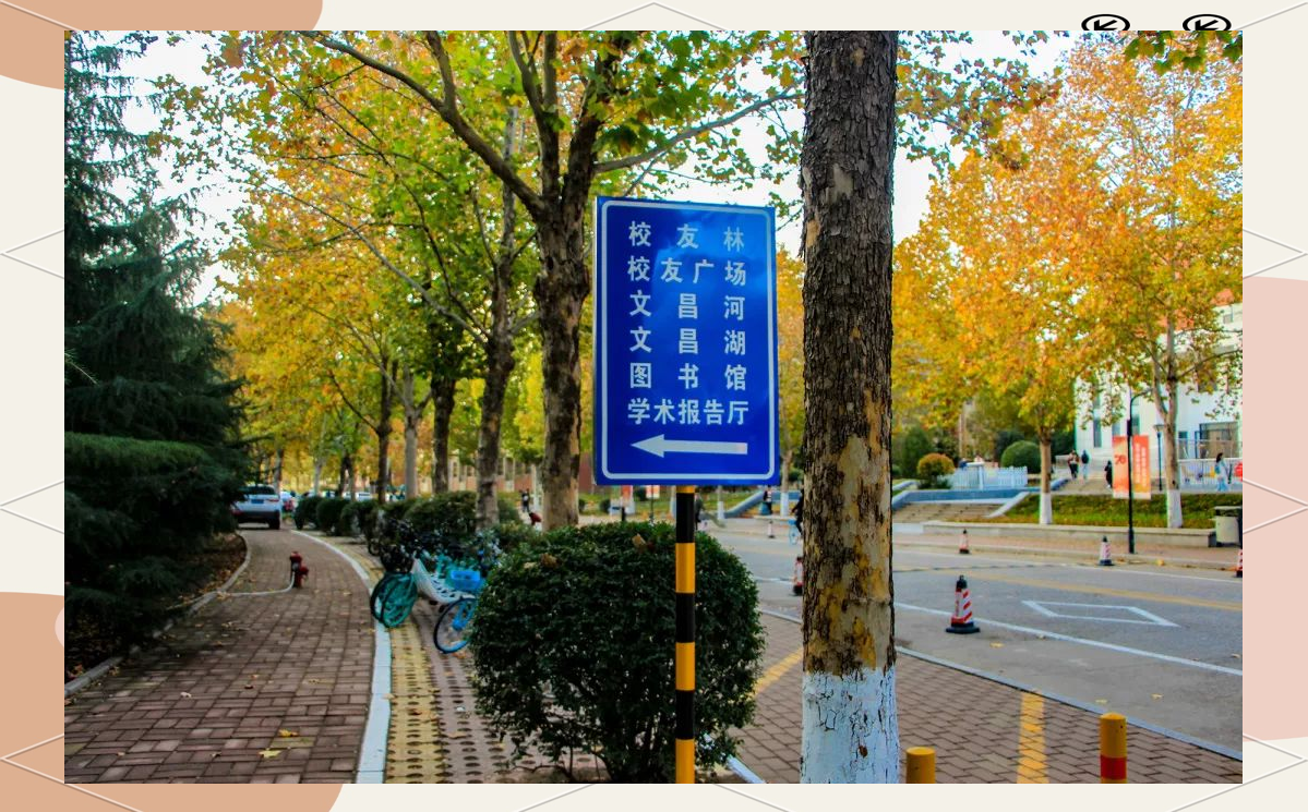 校园中的多样化标牌,展现"别样风采"!