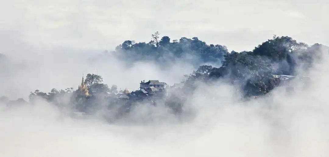 【聚焦】景迈山申遗:"让人们听到来自大地深处的声音……"