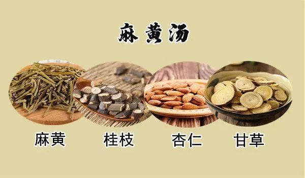 名医妙用葛根麻黄汤图片