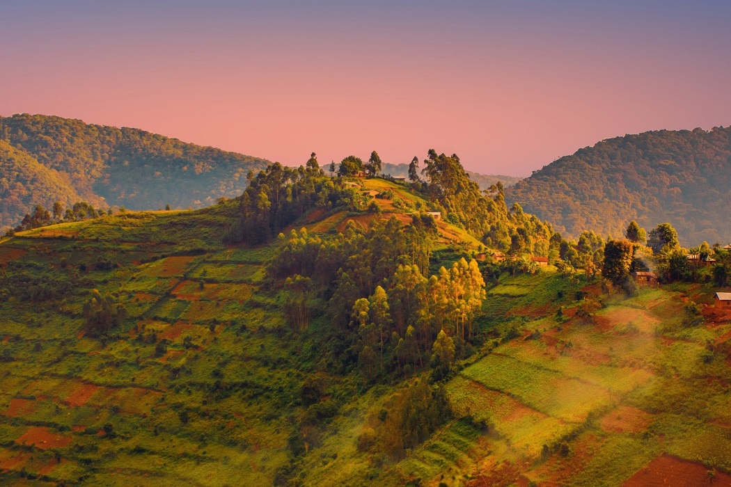 卢旺达风光