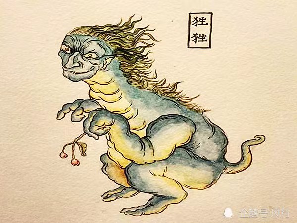 狌狌:神秘而珍贵的森林居民