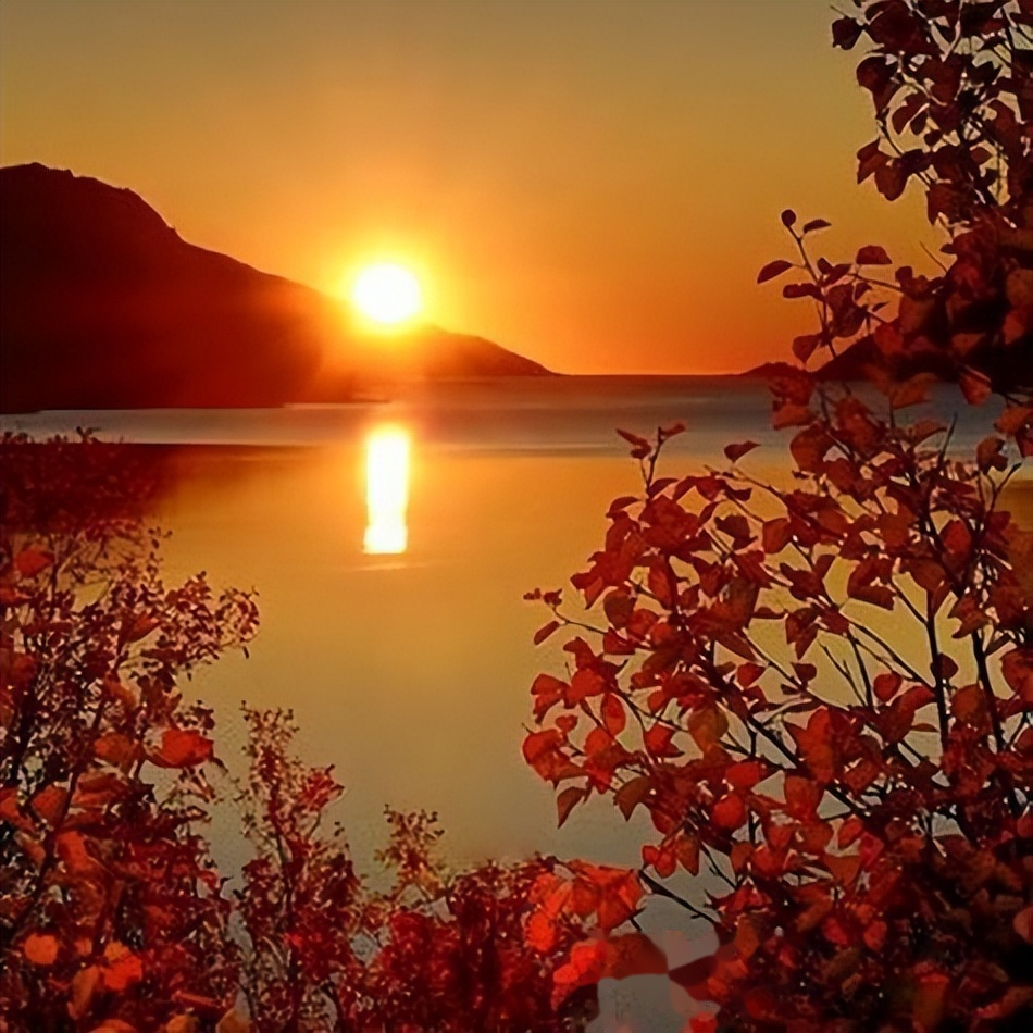 超治愈风景头像,让人感受到大自然的宁静与美丽