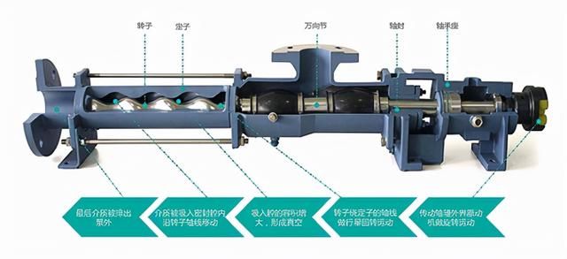 单螺杆泵转子和定子是什么