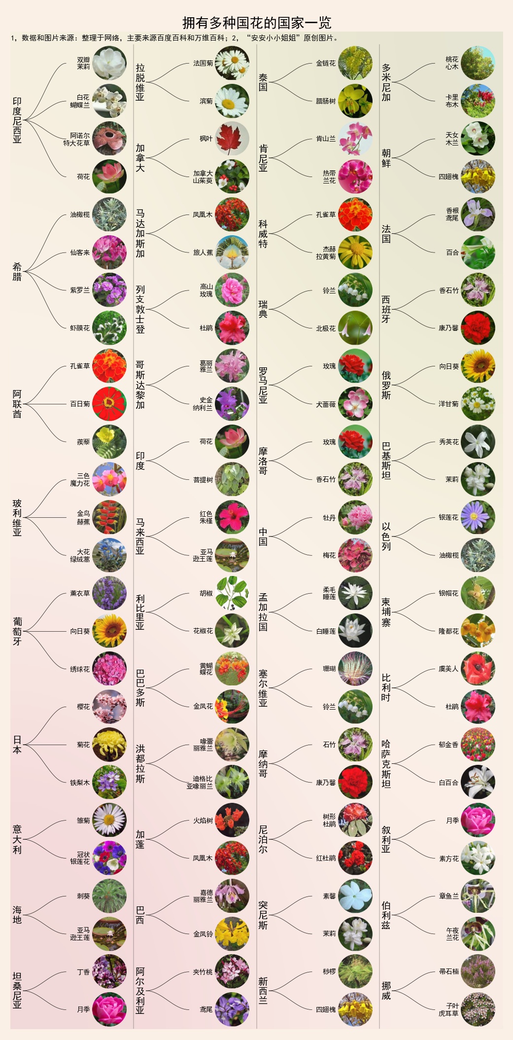 各国国花一览:如果要在牡丹和梅花中选,你选哪个做国花?