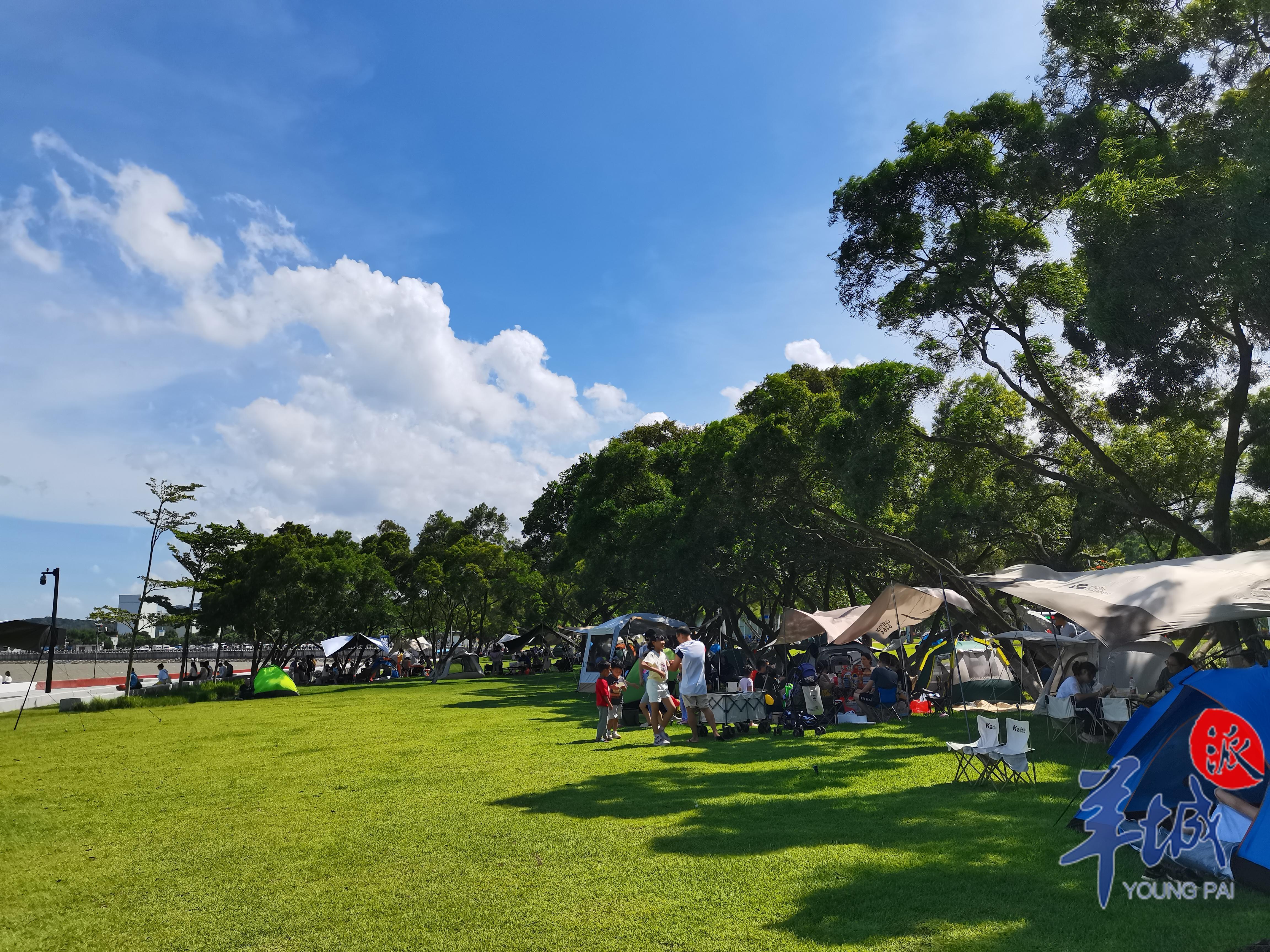 视频·大美岭南|珠海淇澳岛:瞻彼淇奥 绿竹猗猗