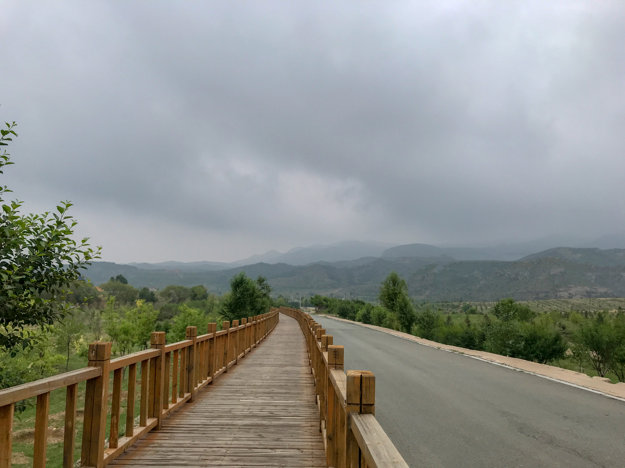 内蒙古有个5万亩森林,4万步走一圈,3百米海拔差,需要欣赏2小时