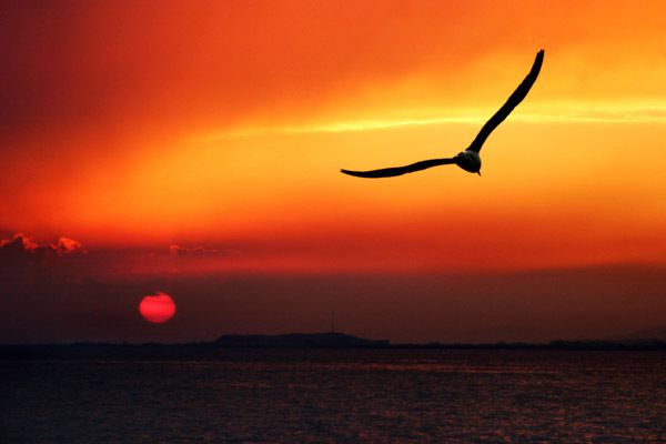 夕阳西下的唯美句子,看黄昏夕阳西下的心情句子,发朋友圈超赞!