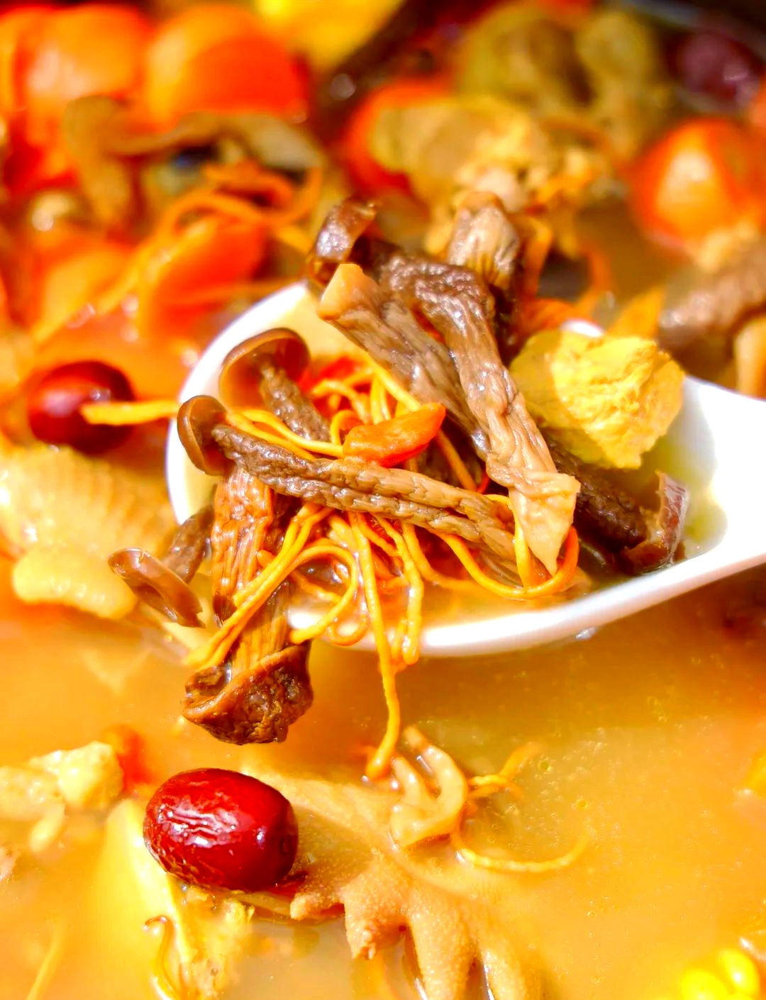 云南菌汤包,多种珍贵菌子搭配,炖汤鲜美无比,满满的山珍味!