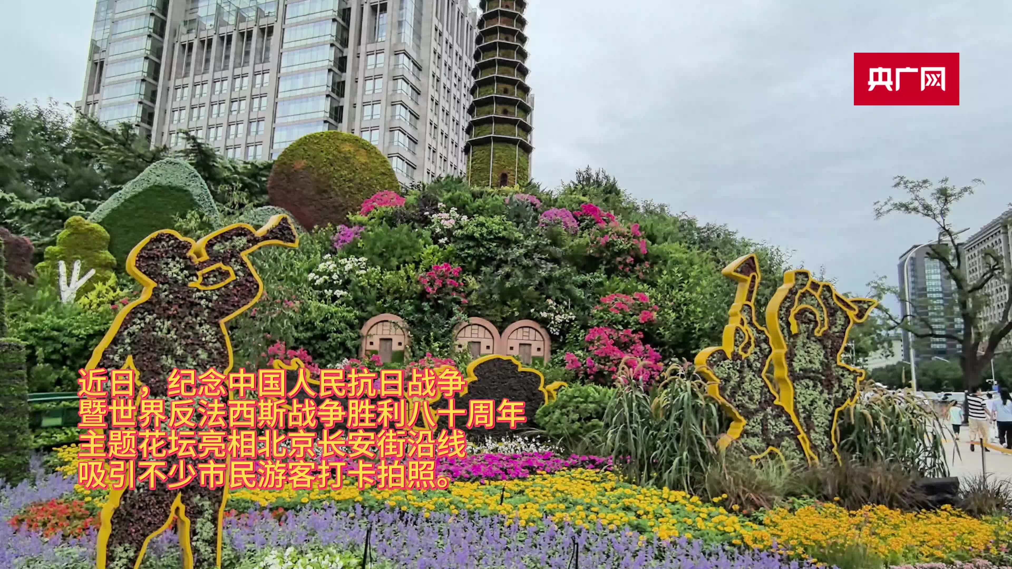 纪念抗战胜利80周年主题花坛亮相北京长安街