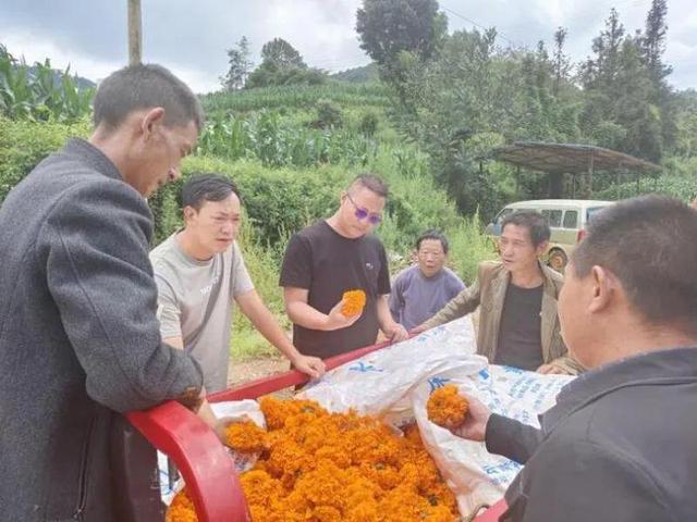 禄劝九龙的著名人物图片