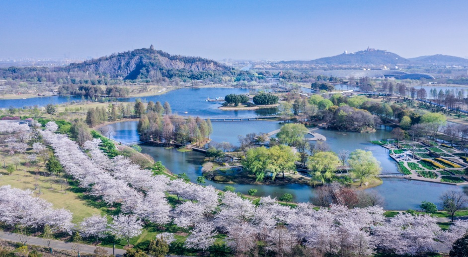 春季问山,九峰有约,松江发布18项文旅系列活动