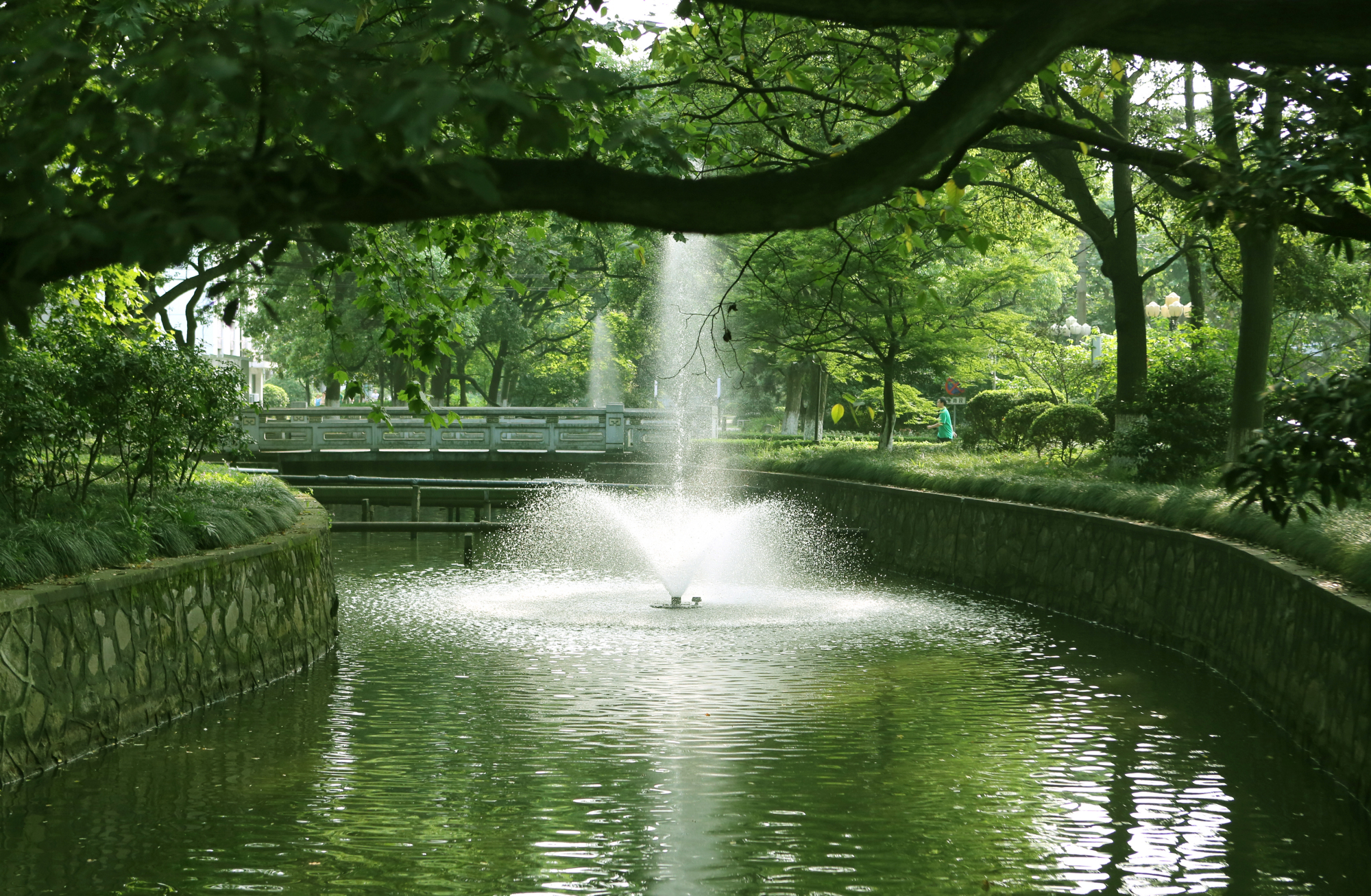 旅游看大学:华东理工大学之校园风光,让你开开眼