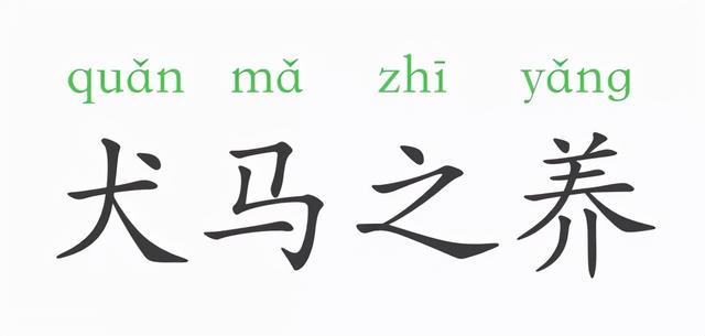 一天一个成语:犬马之养