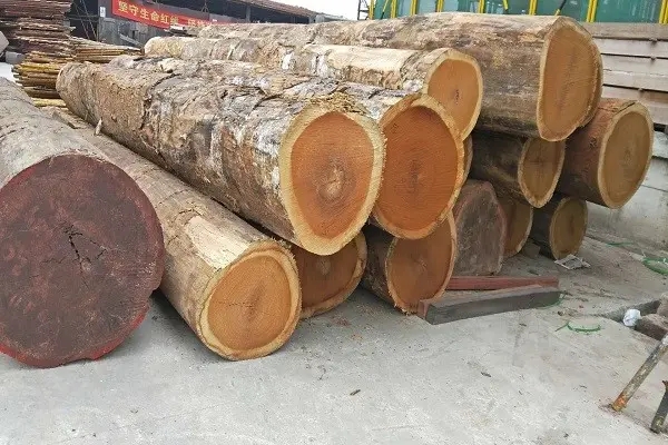 格木是什么木材呢