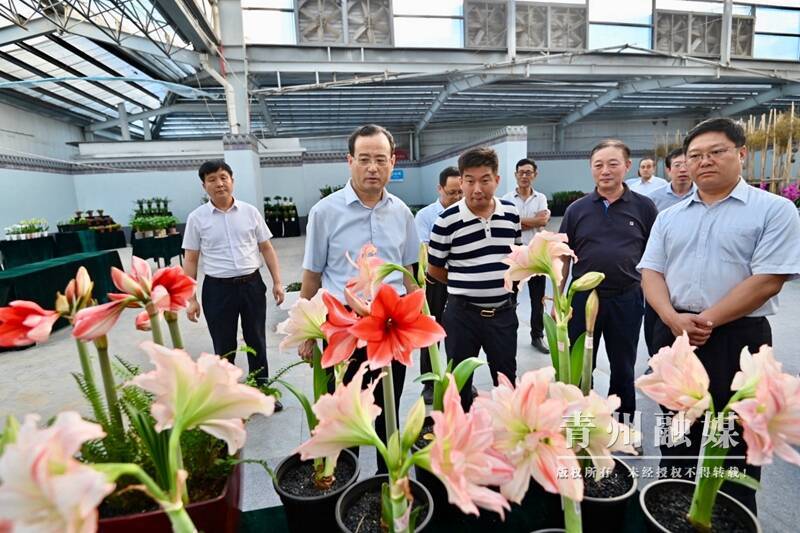 山东青州:市委书记韩幸福调度"两大盛会"筹备工作