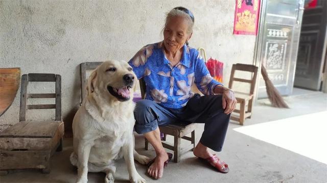 记录农村生活,制作传统美食!76岁"玉林阿婆"真的很治愈