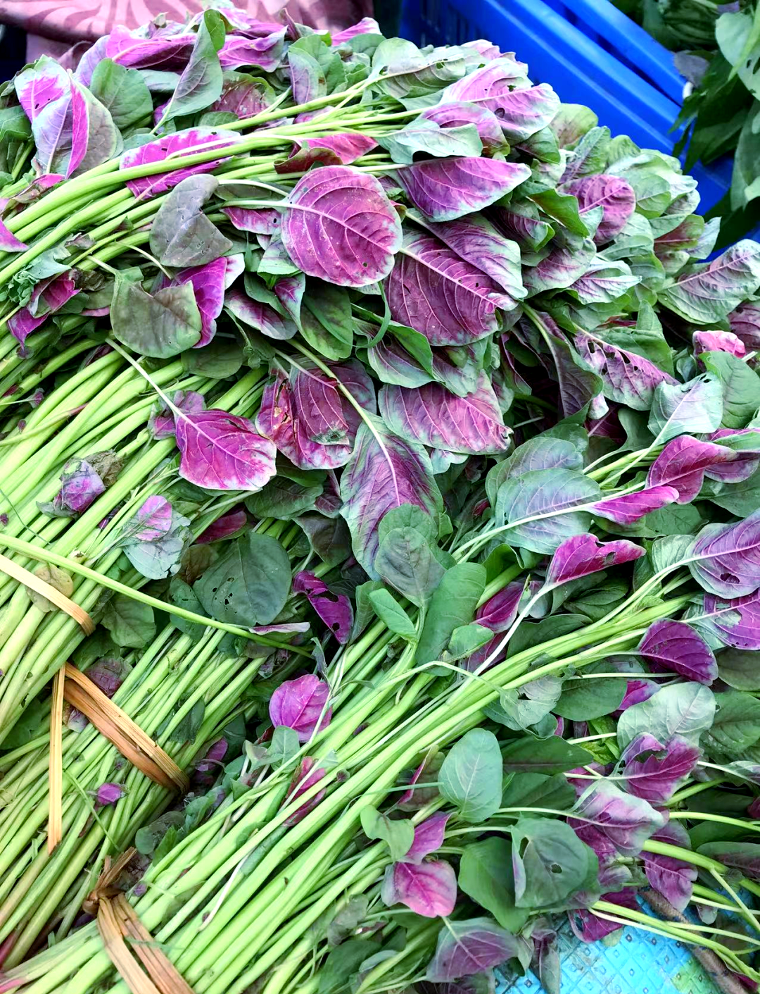 时令野菜推荐:汉菜,夏日解暑的好选择