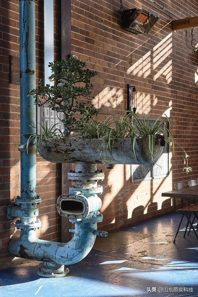 澳大利亚stomping ground灯光设计