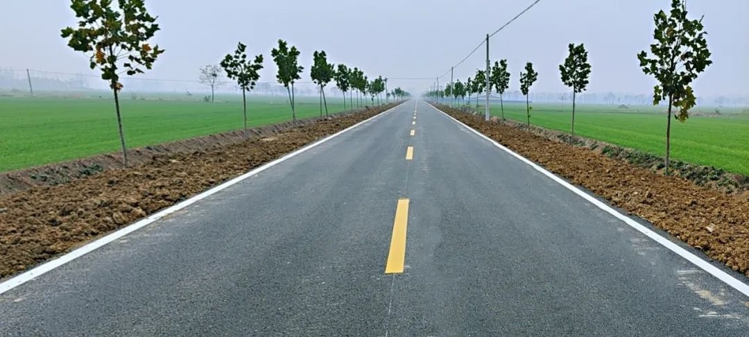 好消息!涡阳县这七段农村公路交工验收啦!