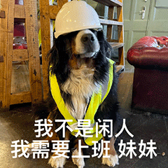 表情合集┃妹妹,我不是闲人,我需要工作!