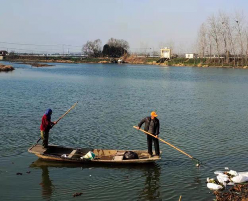 江苏兴化市海南镇:河长制引来碧水清流