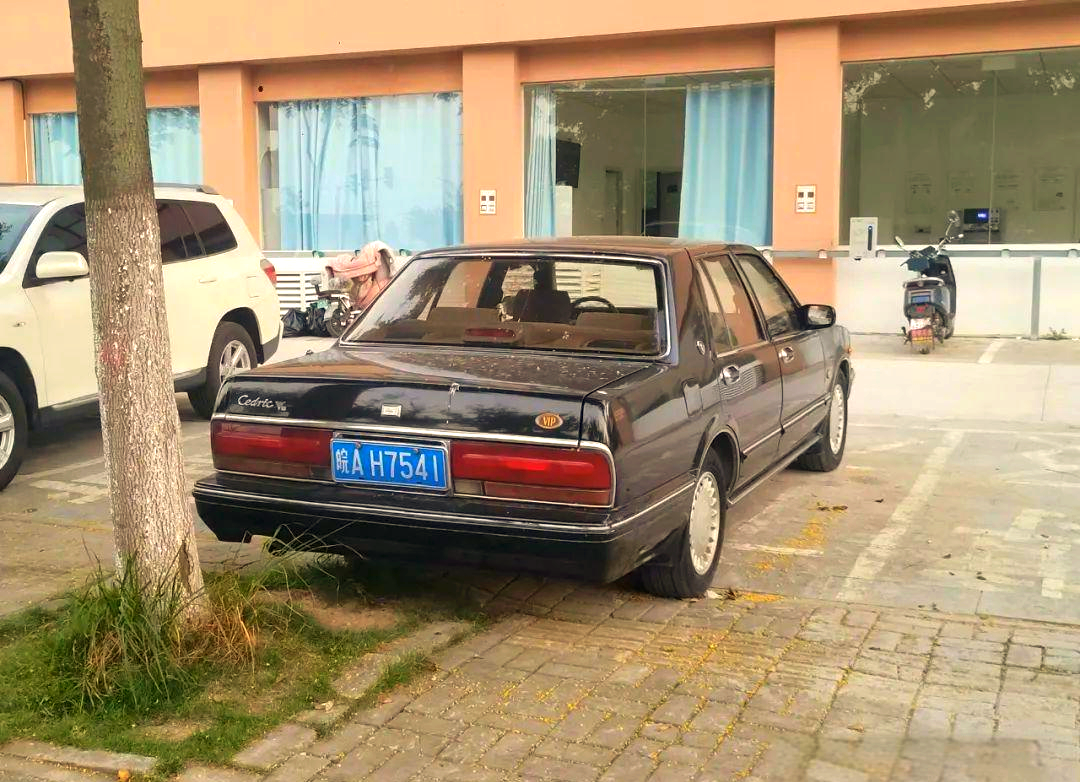 90年代经典公爵王,方方正正的稳健之选