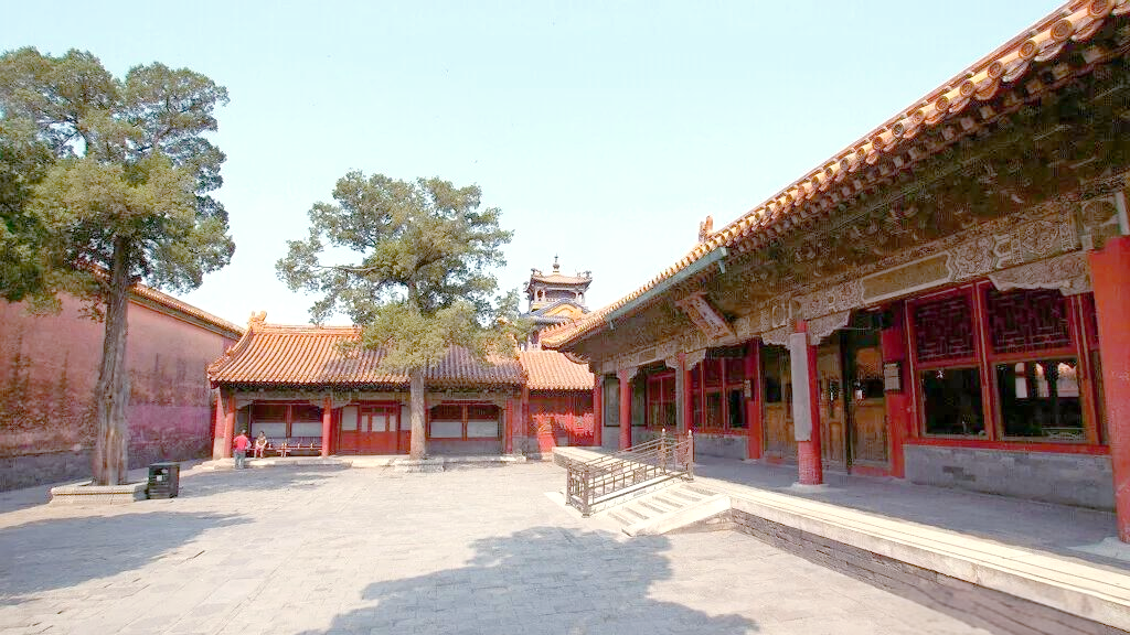 六龙壁与太极殿:紫禁城的隐秘瑰宝