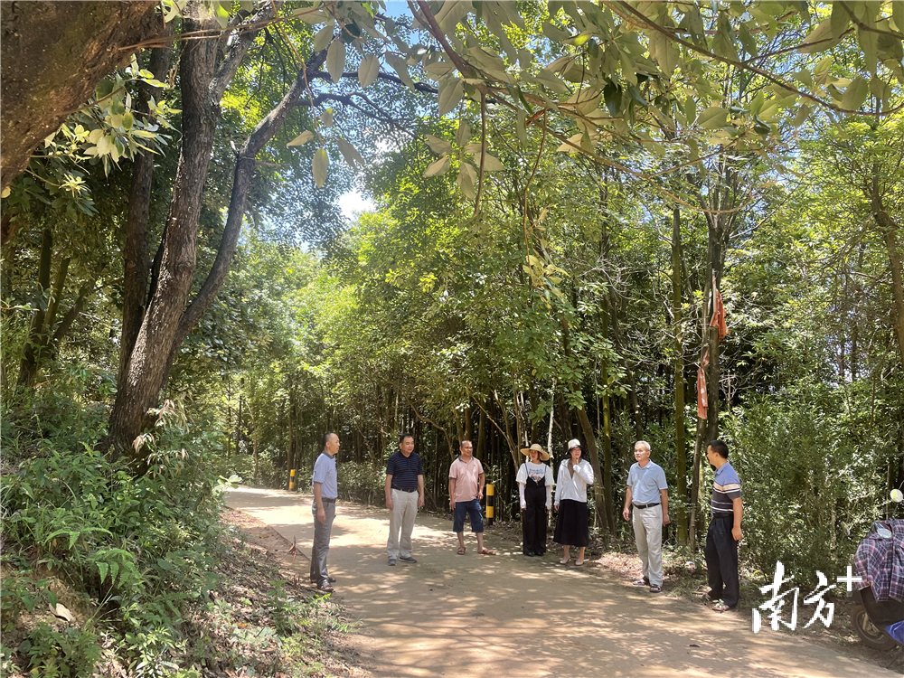 阳山杜步镇人大代表紧扣主题积极开展各类活动,为建设高水平城乡一体