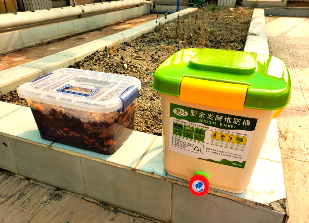 科学实验:将厨余垃圾转化为宝贵肥料