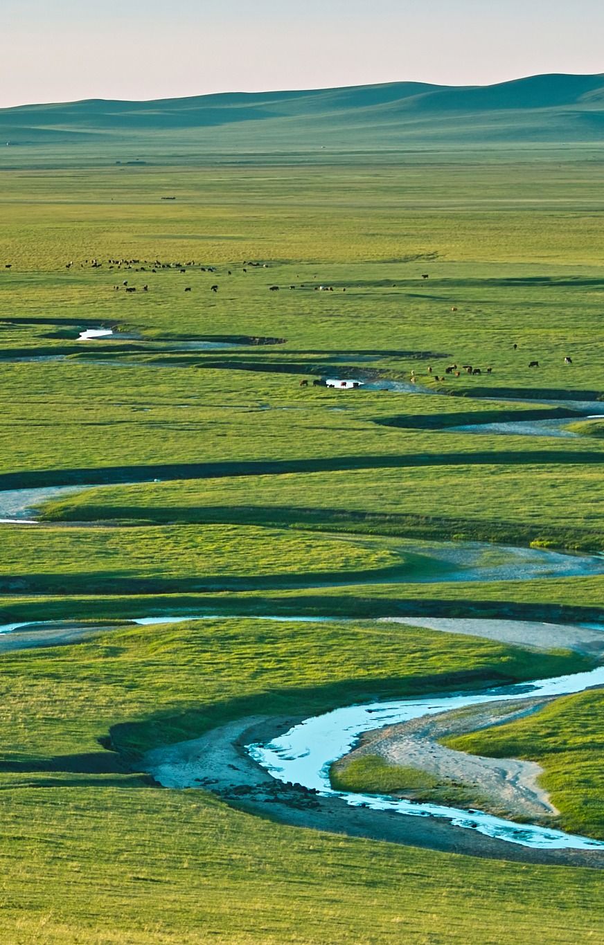 美图欣赏——美丽的湿地草原