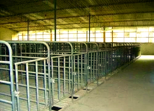 牧原猪舍的多代演变实图概览