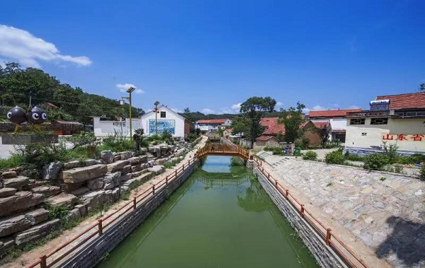 临朐县九山镇:一花引来万花开