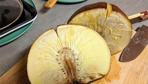 面包树的果实能当主食吃吗?火烤后味道和面包一样,能养多少人