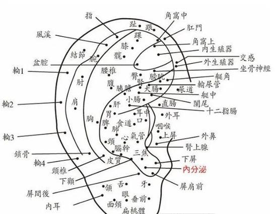 耳朵上痣的象征意义与个性分析