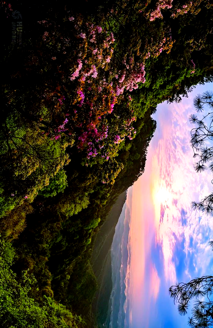 垫江风光摄影新探:宝鼎山巍峨之景