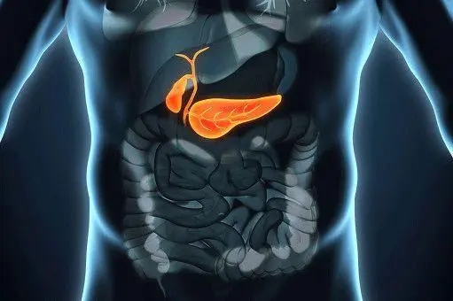 肝区疼痛位置图图片