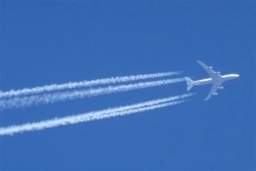 阿根廷一波音737客机起飞后撞鸟 发动机爆炸后紧急迫降