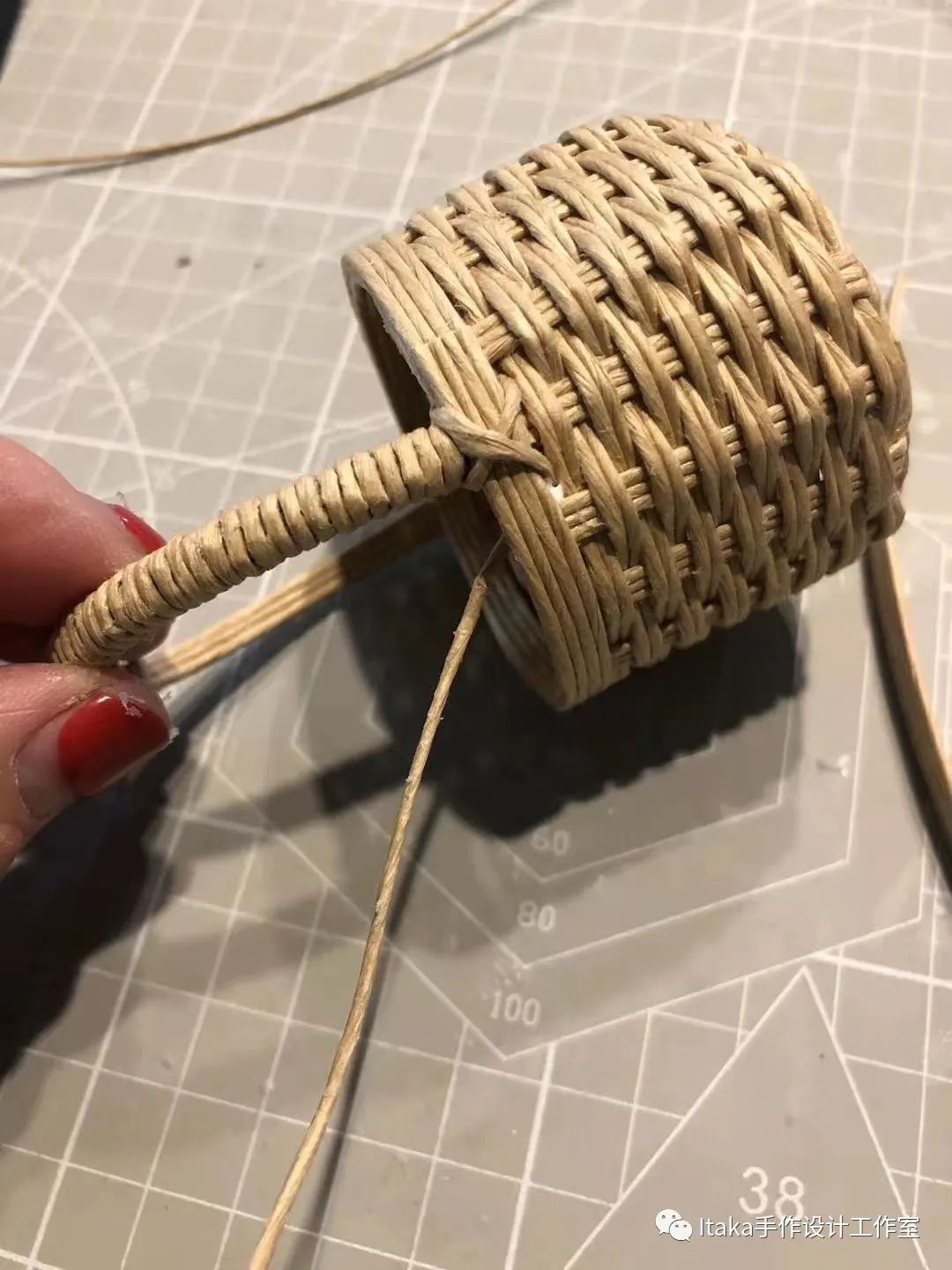 纸藤教程·「mini小花篮」空气凤梨专宠